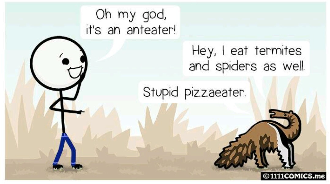 We are all stupid pizza eaters on the inside - meme