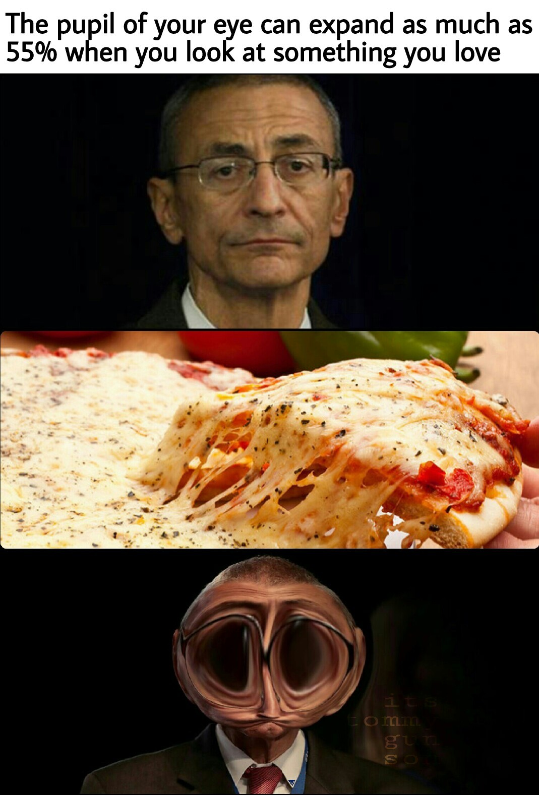 PizzaGate: A slice of corruption with extra cheese. - meme