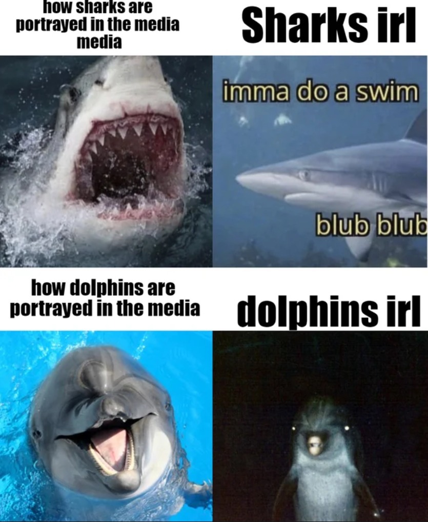 Dolphins are scary man - meme