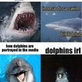 Dolphins are scary man