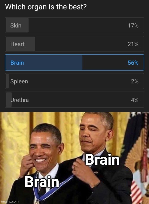 The Brain Is The best Organ - Brain - meme