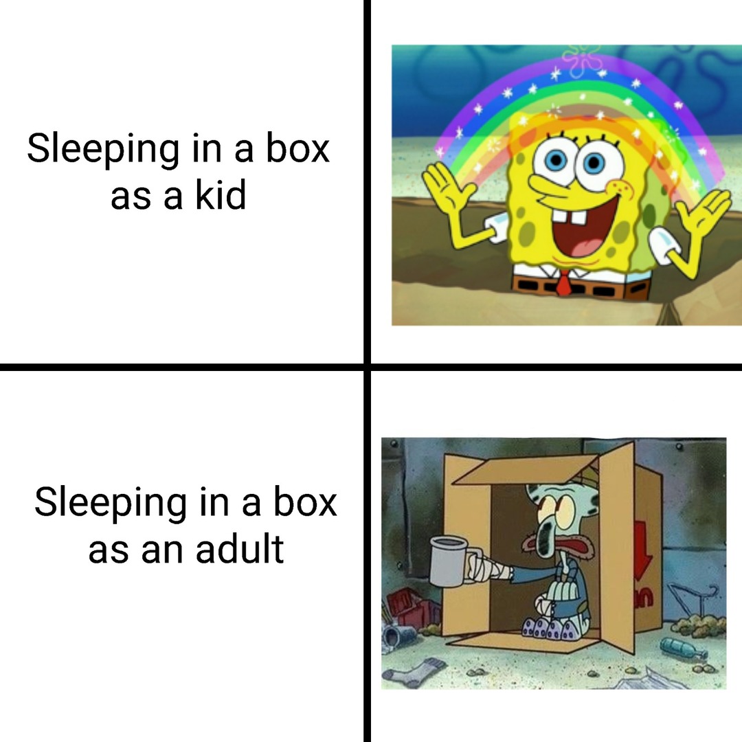 Sleeping in a box - meme