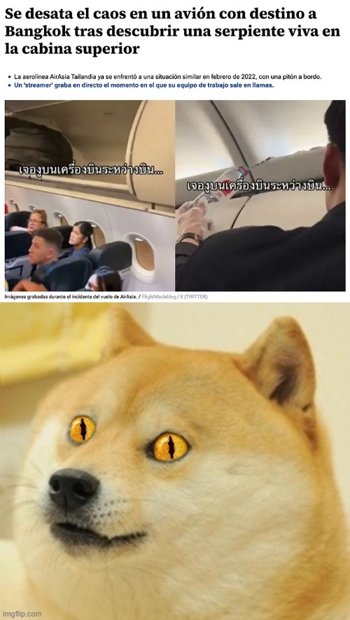 Serpiente en el avion - meme