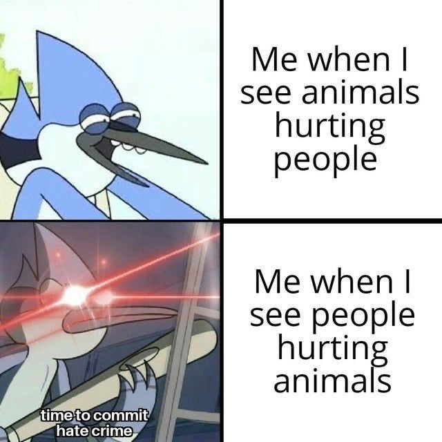 there’s something about this - meme