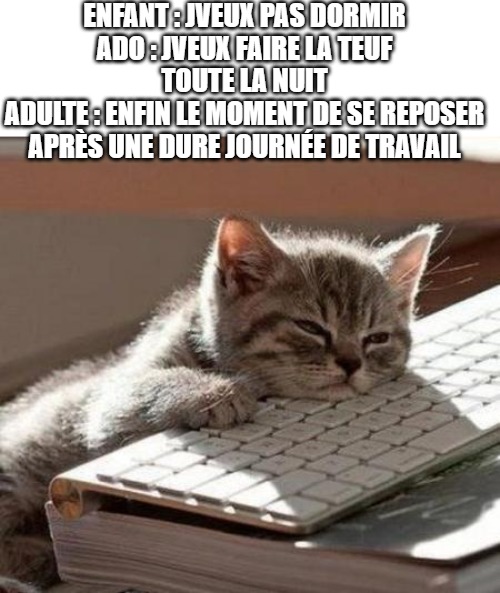 La dure vie de <qui tu veux> - meme