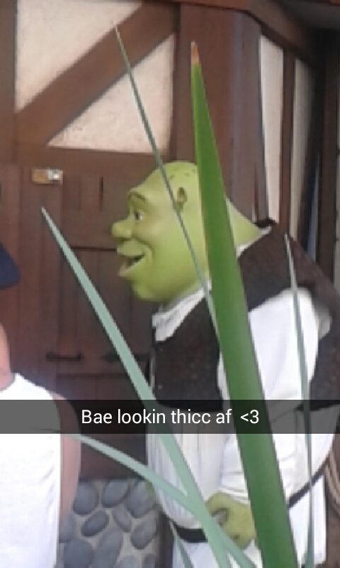 Shreksy bich - meme
