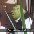 Shreksy bich