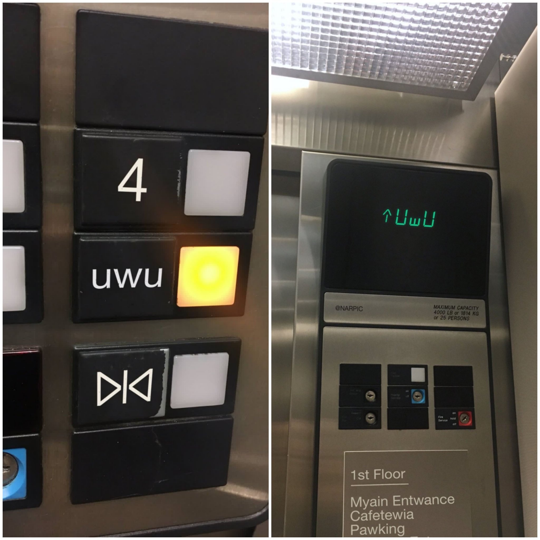 Elevator - meme