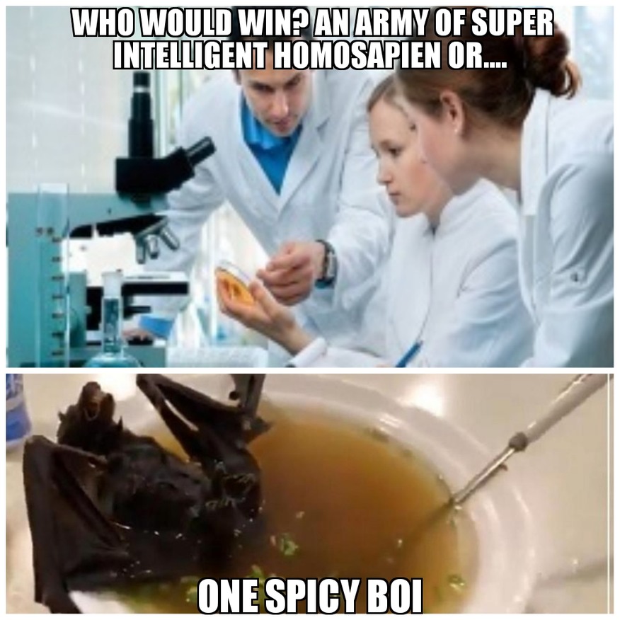 Spicy boi - meme