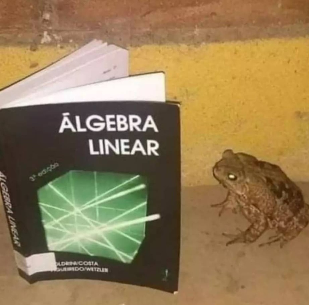 Sapo álgebra linear - meme