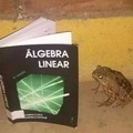 Sapo álgebra linear