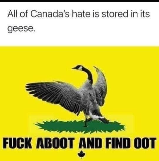 Release the geese *honk* - meme
