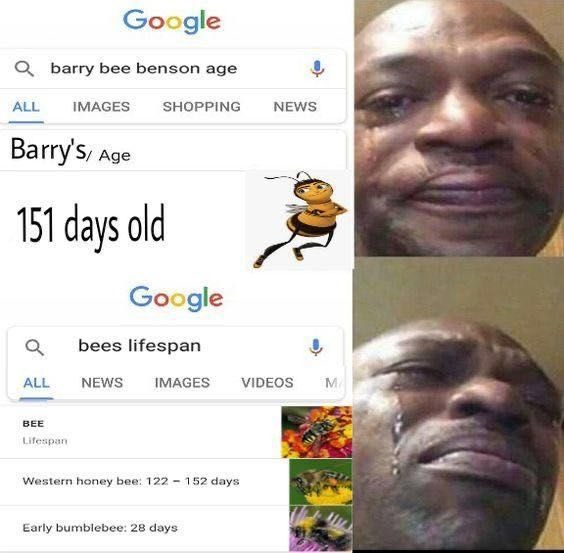 Barry ben benson age... searching for his age in internet - meme