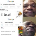 Barry ben benson age... searching for his age in internet