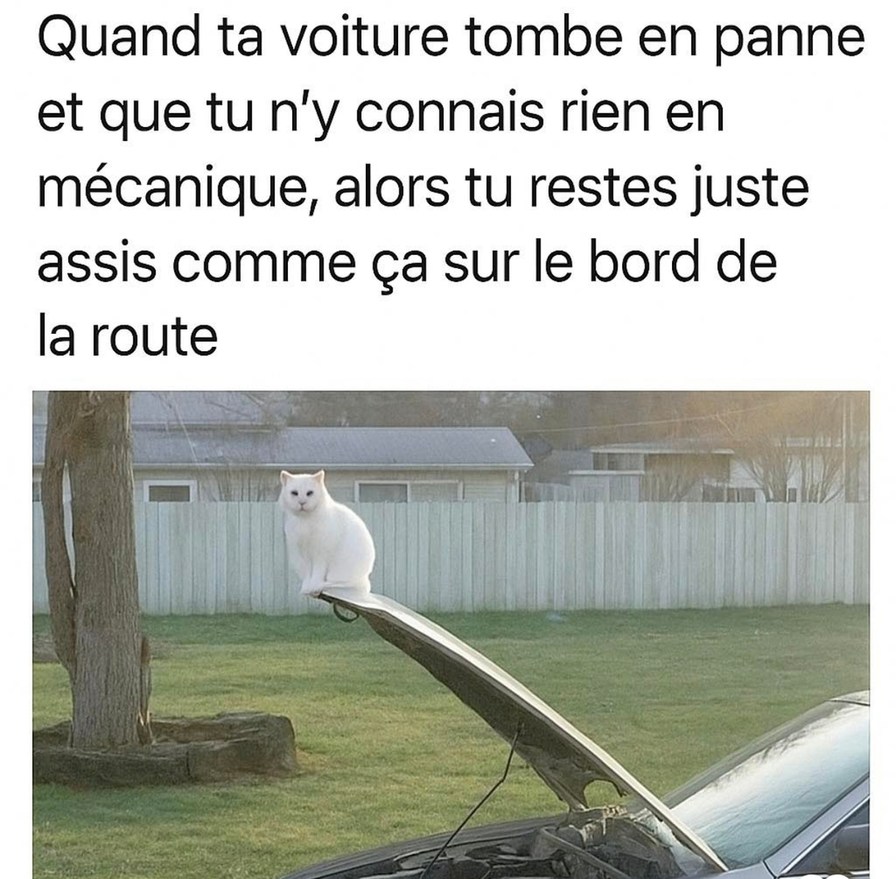 Quand t’y connais rien en mécanique et ta caisse tombe en panne, tu restes planté comme un piquet - meme