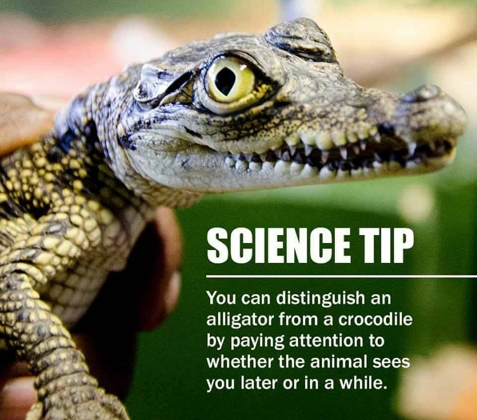 Science facts! - meme