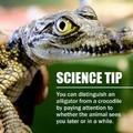 Science facts!