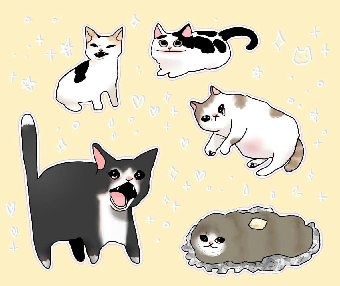 All our favourite kitties :3 - meme