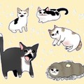All our favourite kitties :3