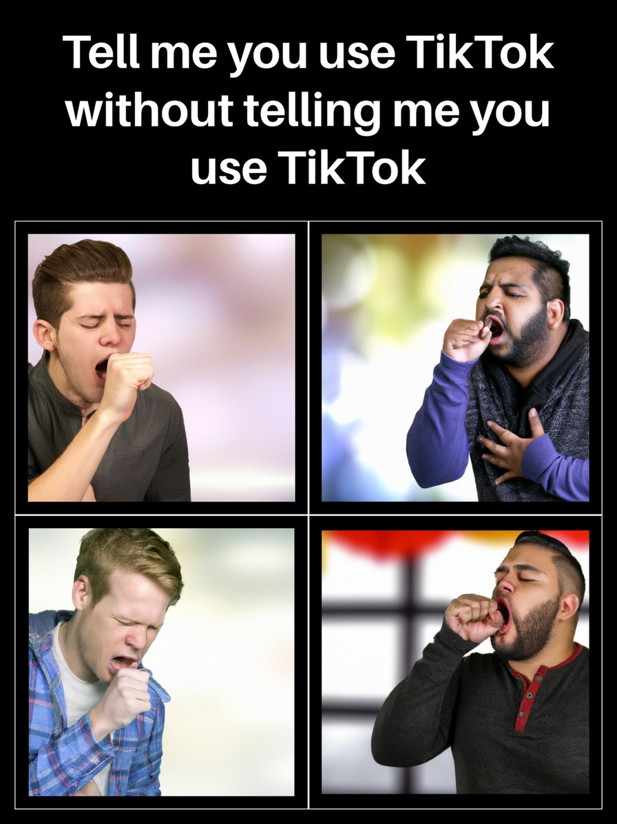 Dongs in a TikTokker... - meme