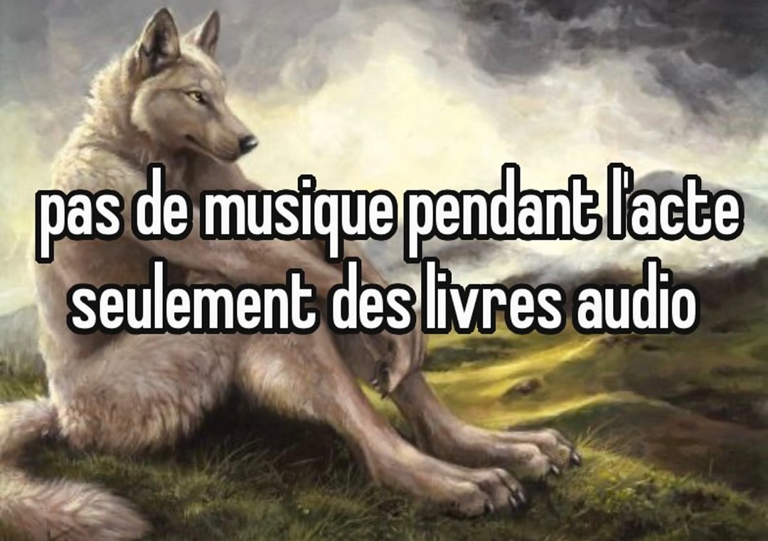 pas de musique pendant l'acte juste un bon vieux livre audio de Tolkien - meme