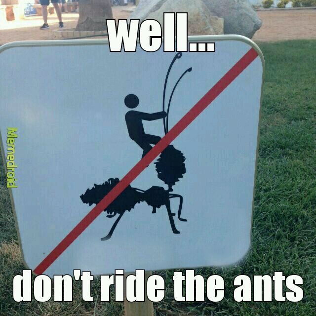 poor Ant-man - meme