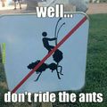 poor Ant-man