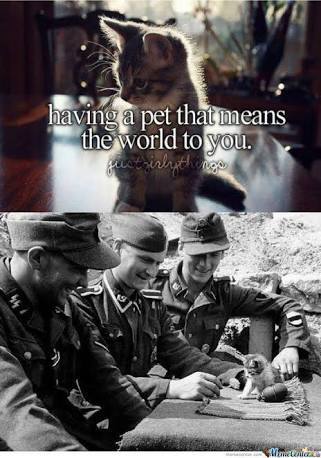 Even Hans likes cattos. - meme