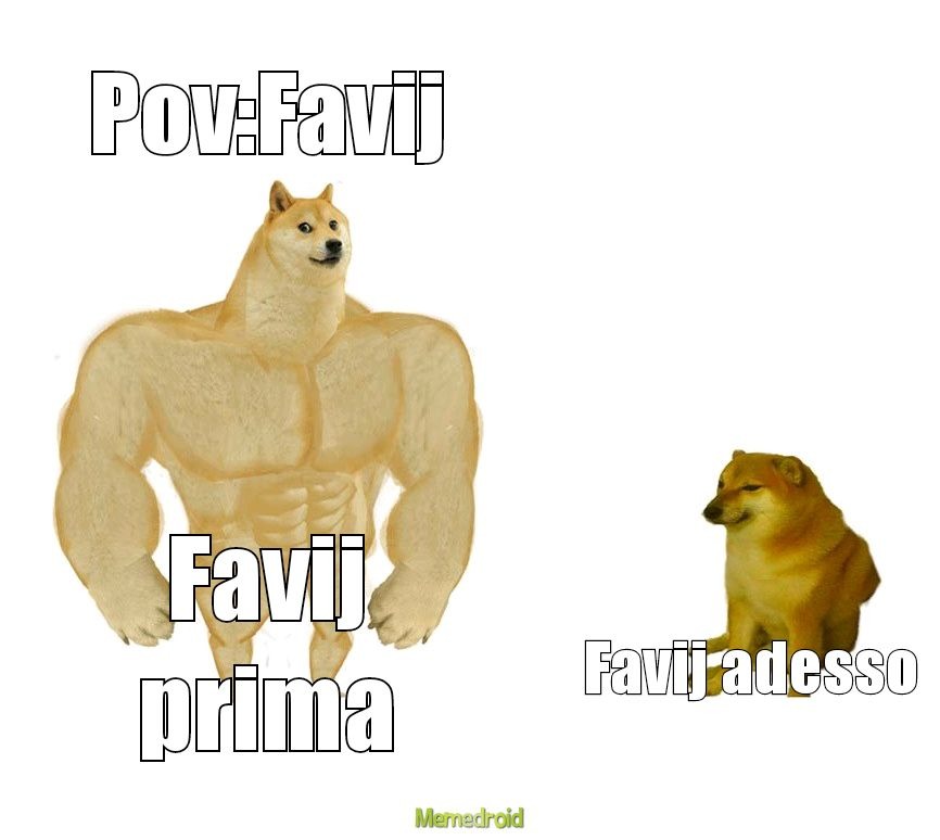 Favij - meme
