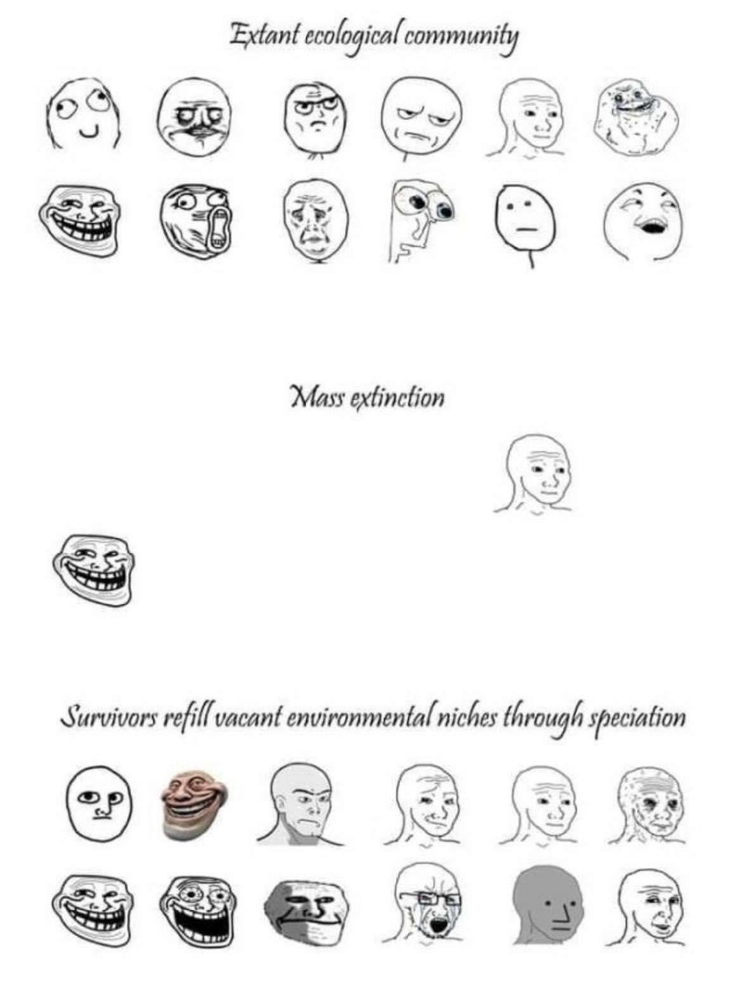 dongs in an ecosystem - Meme by LastAncientEgyptian :) Memedroid