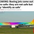 Boeing jets come out as trans-safe