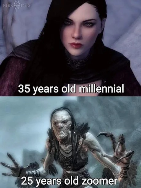 35 YO millennial vs 25yo zoomer - meme