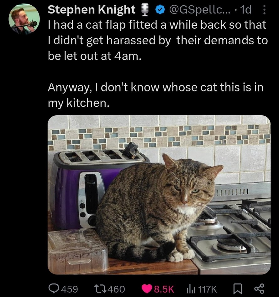 Dongs in a Cat Flap - meme