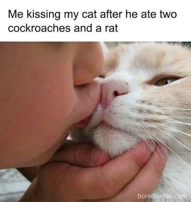 me kissing my little murder machine like he’s an angel - meme