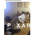 pixar Doggo