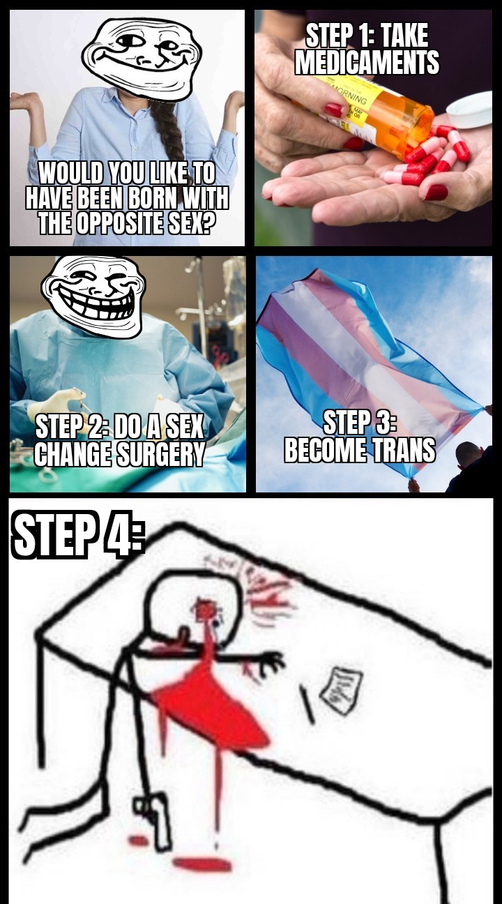 Ciclo de vida dos transexuais - meme