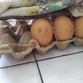 ¿Que nombre se les ocurre al simpático huevo de la suerte? :3, que linduraaaaaa :3