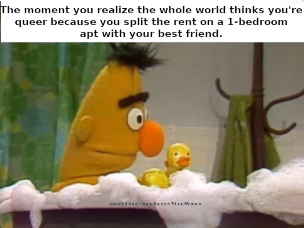 Bert's delimma - meme