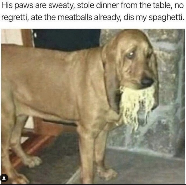 spaget - meme