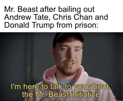 Mr Beast initiative - meme