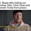 Mr Beast initiative