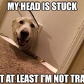 commented item thumbnail
