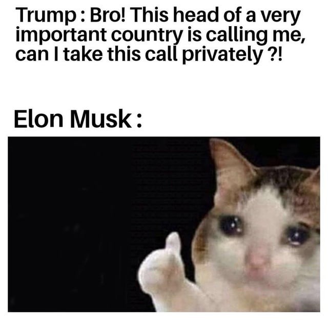 okay - meme