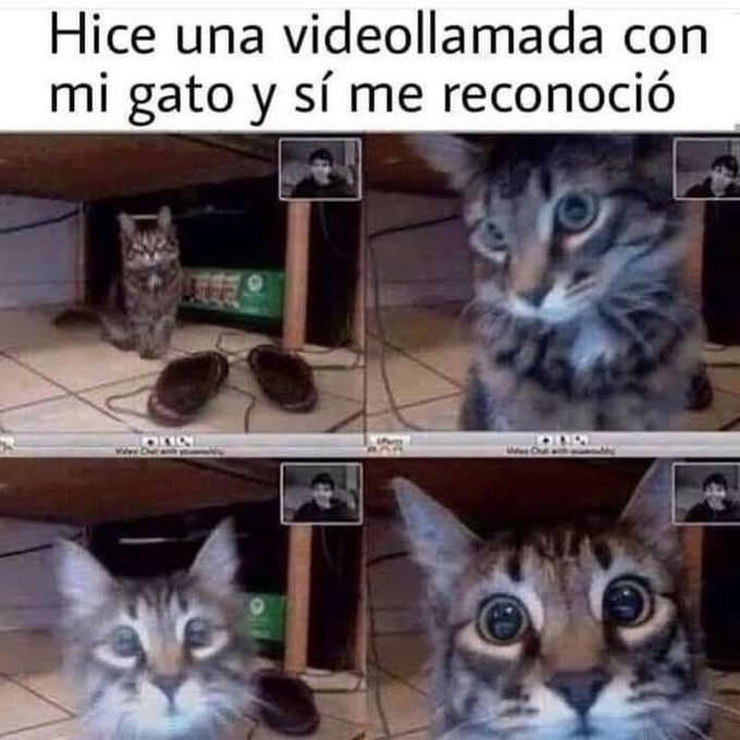 Pupilas dilatadas - meme