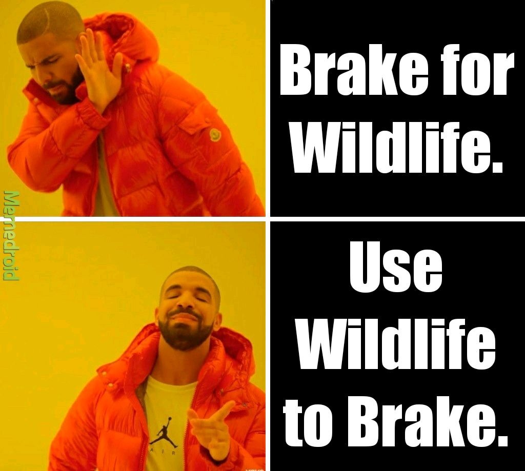 Death to the Whitetails. - meme