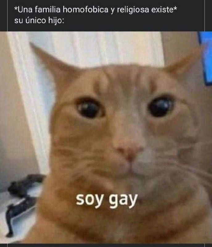 tipico - meme