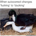 i ducking hate when that happens