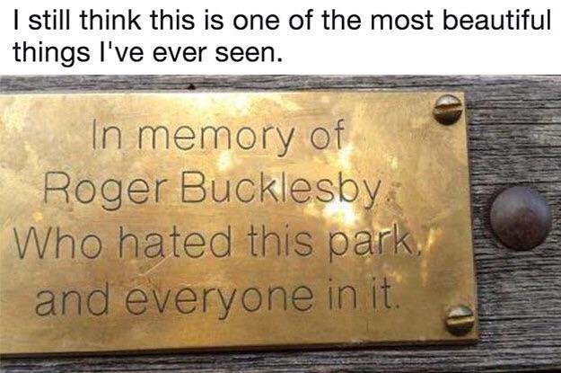 Roger Bucklesby hated this park - meme