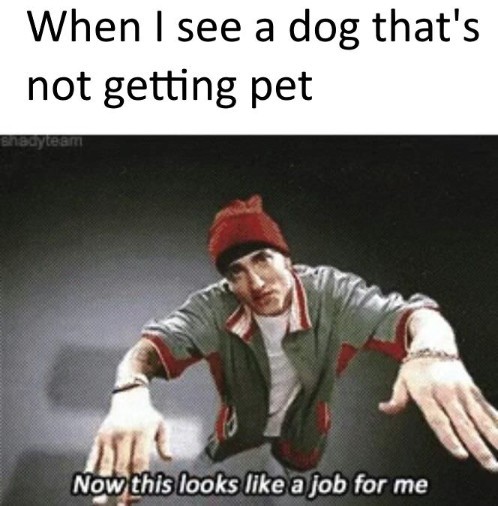 I love doggos and puppers - meme