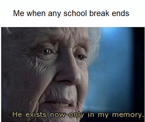 Especially summer break - meme